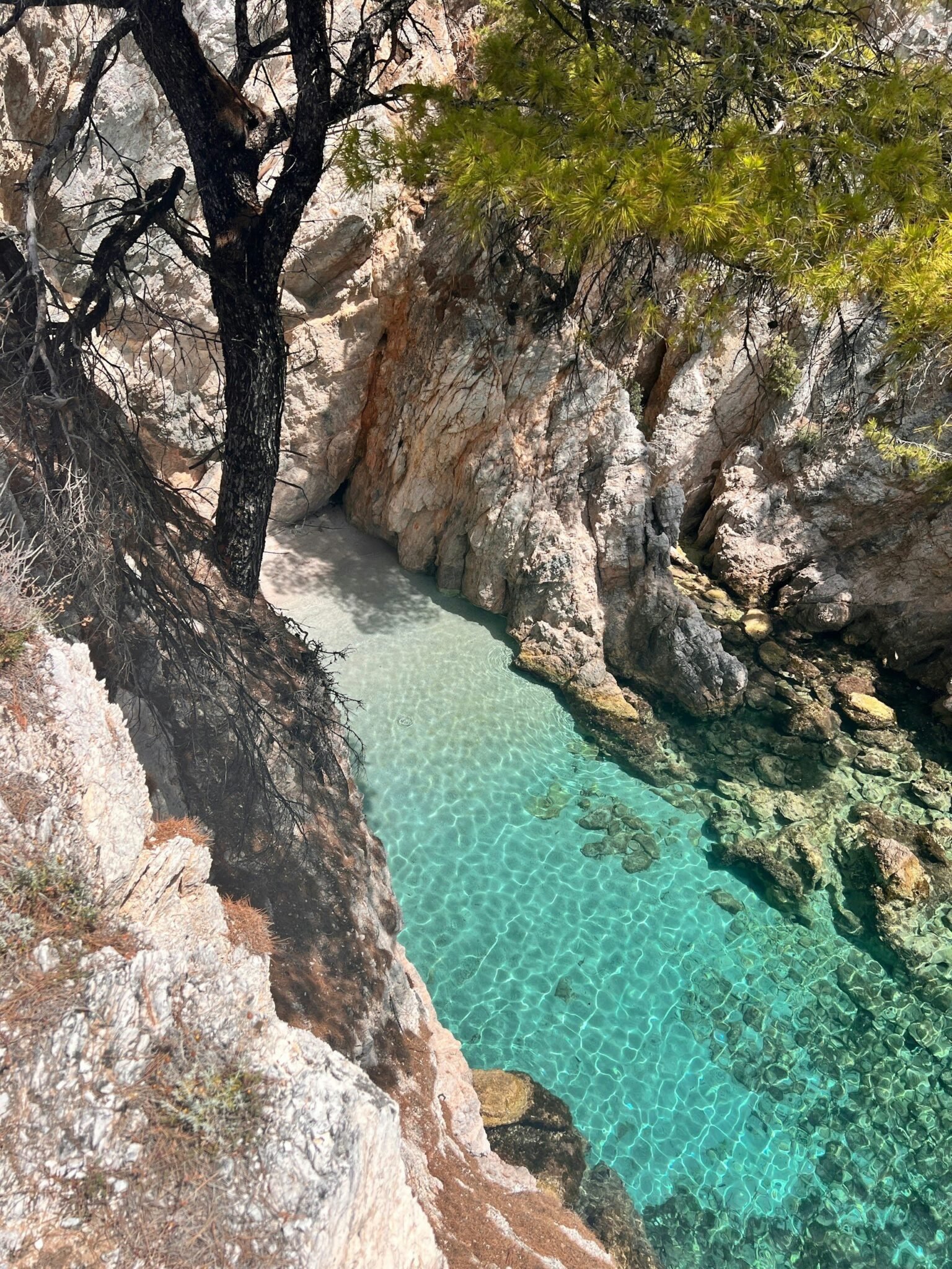 Paragaskiathos (3)